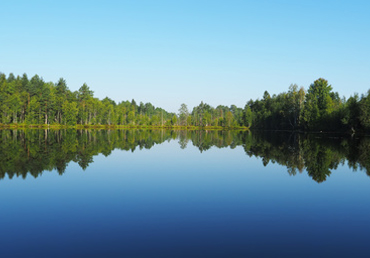 Jätevesipalvelut